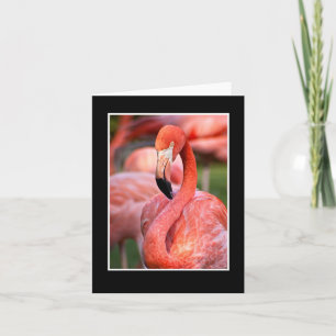 Roze Flamingo Blank Note Kaart