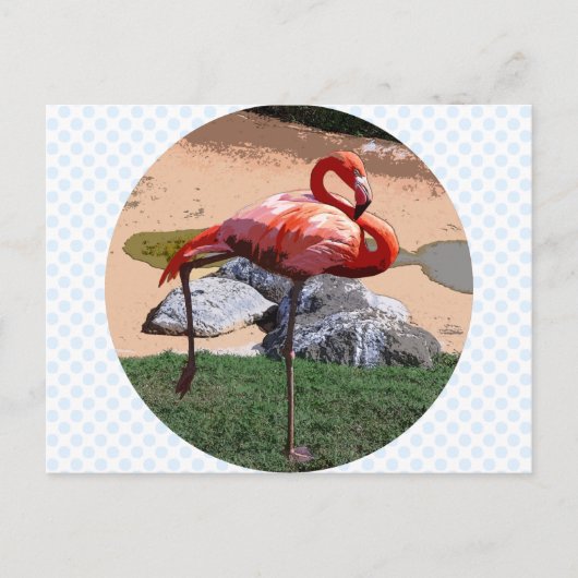 Roze Flamingo Briefkaart (Voorkant)