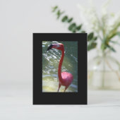 roze flamingo briefkaart (Staand voorkant)
