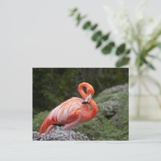 Roze Flamingo Briefkaart (Staand voorkant)