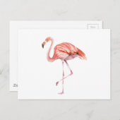 Roze Flamingo Briefkaart (Voorkant / Achterkant)