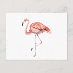 Roze Flamingo Briefkaart