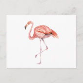 Roze Flamingo Briefkaart (Voorkant)
