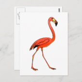 Roze Flamingo Briefkaart (Voorkant / Achterkant)