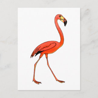 Roze Flamingo Briefkaart