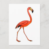 Roze Flamingo Briefkaart (Voorkant)