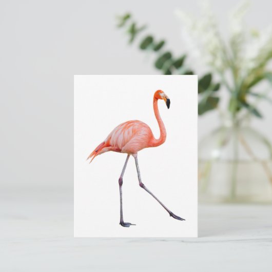 Roze Flamingo Briefkaart (Staand voorkant)