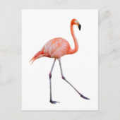 Roze Flamingo Briefkaart (Voorkant)