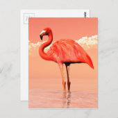 Roze flamingo briefkaart (Voorkant / Achterkant)