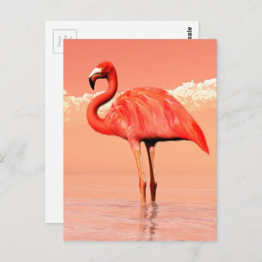 Roze flamingo briefkaart (Voorkant / Achterkant)