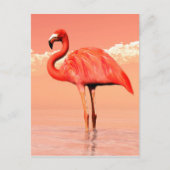 Roze flamingo briefkaart (Voorkant)