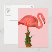 Roze Flamingo Briefkaart (Voorkant / Achterkant)