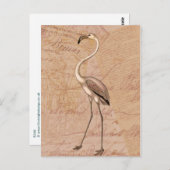 Roze Flamingo Briefkaart (Voorkant / Achterkant)