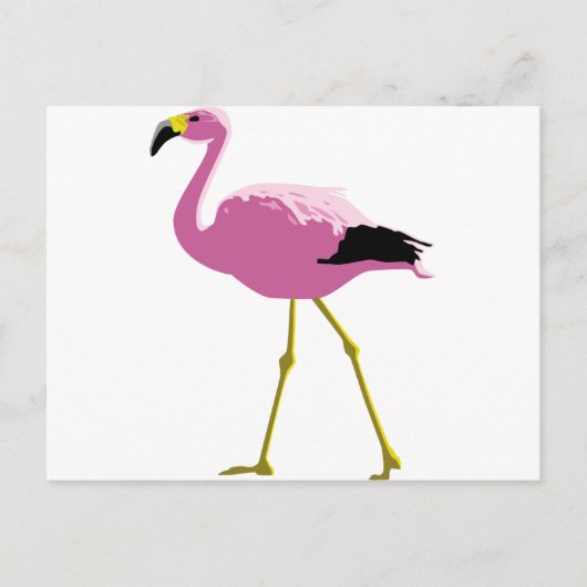 Roze Flamingo Briefkaart (Voorkant)