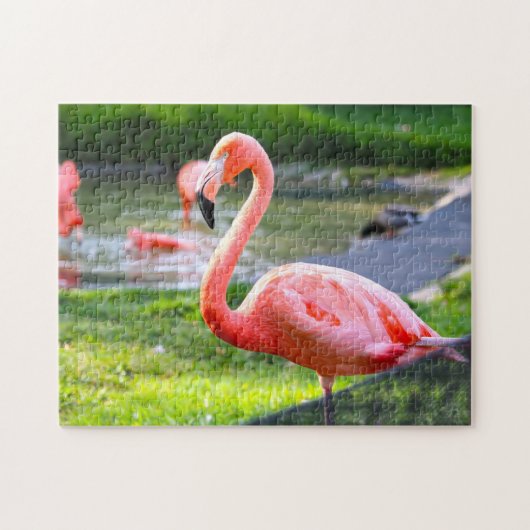 Roze Flamingo California. Legpuzzel (Horizontaal)