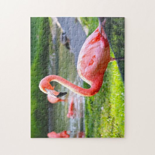 Roze Flamingo California. Legpuzzel (Verticaal)