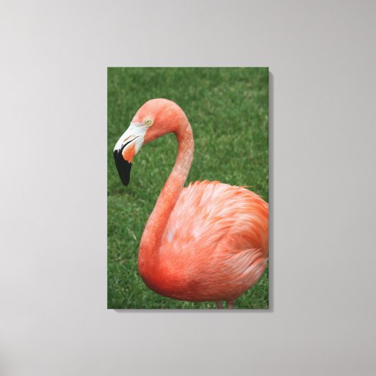 Roze Flamingo Canvas Afdruk (Voorkant)