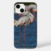 Roze flamingo Case-Mate iPhone case (Achterkant)