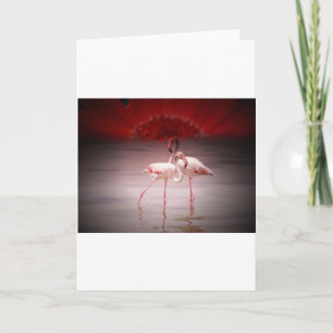 Roze Flamingo Dans Feestdagen Kaart