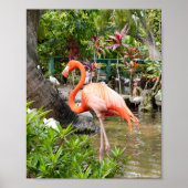 Roze Flamingo Decor Fotografie Bonita Springs Poster (Voorkant)