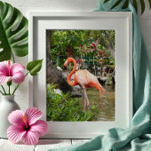 Roze Flamingo Decor Fotografie Bonita Springs Poster
