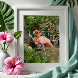 Roze Flamingo Decor Fotografie Bonita Springs Poster