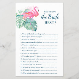 Roze flamingo die het beste spel kent flyer