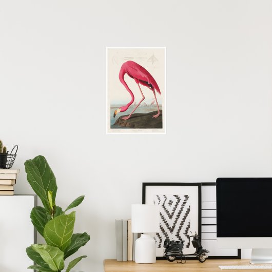 Roze Flamingo door Poster Audubon (Thuiskantoor)