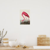 Roze Flamingo door Poster Audubon (Keuken)