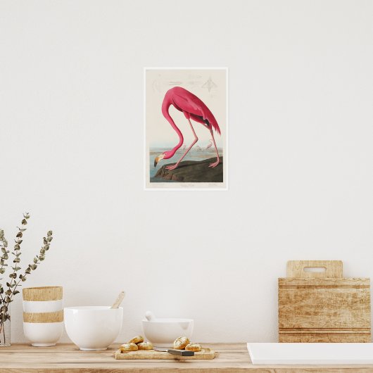 Roze Flamingo door Poster Audubon (Keuken)