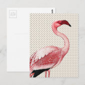 Roze Flamingo en  Polka Dots Briefkaart (Voorkant / Achterkant)