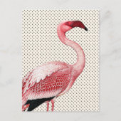 Roze Flamingo en  Polka Dots Briefkaart (Voorkant)