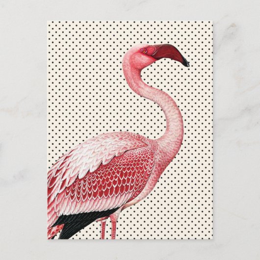 Roze Flamingo en  Polka Dots Briefkaart (Voorkant)