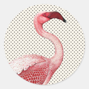 Roze Flamingo en  Polka Dots Ronde Sticker