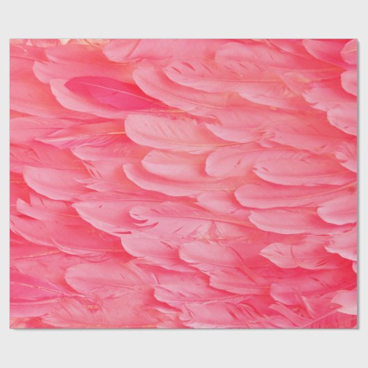 Roze Flamingo Feathersflamingo, veer, roze, textur Cadeaupapier (Vlak)