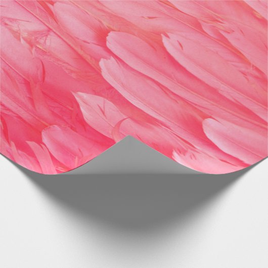 Roze Flamingo Feathersflamingo, veer, roze, textur Cadeaupapier (Hoek)