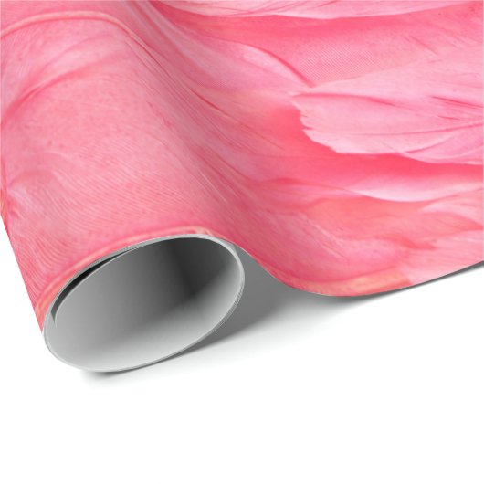 Roze Flamingo Feathersflamingo, veer, roze, textur Cadeaupapier (Rol Hoek)