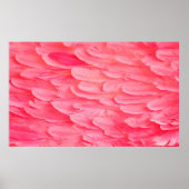 Roze Flamingo Feathersflamingo, veer, roze, textur Poster (Voorkant)