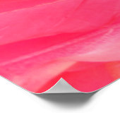 Roze Flamingo Feathersflamingo, veer, roze, textur Poster (Hoek)