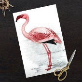 Roze Flamingo Finch Davies 1919 Tissuepapier