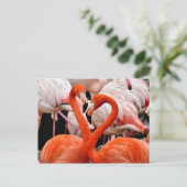 Roze Flamingo Flock Love Heart Valentijn Bird Briefkaart (Staand voorkant)