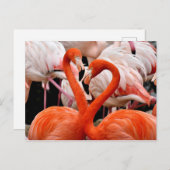 Roze Flamingo Flock Love Heart Valentijn Bird Briefkaart (Voorkant / Achterkant)
