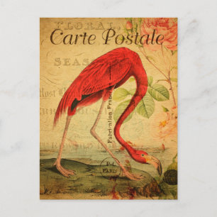  roze flamingo Floral French Carte Postale Briefkaart