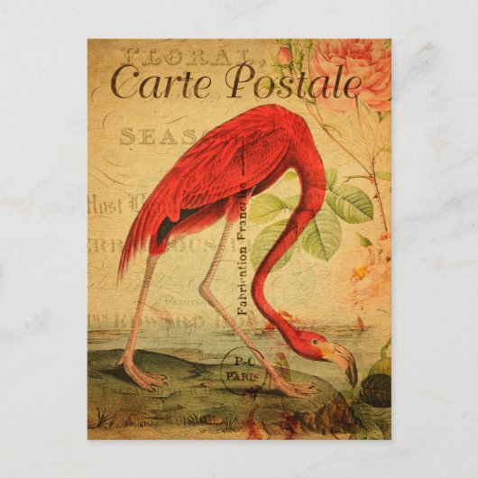 roze flamingo Floral French Carte Postale Briefkaart (Voorkant)
