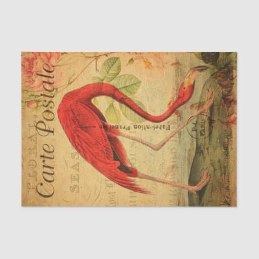  roze flamingo Floral French Carte Postale Tissuepapier (Voorkant)
