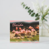 Roze flamingo Florida briefkaart (Staand voorkant)