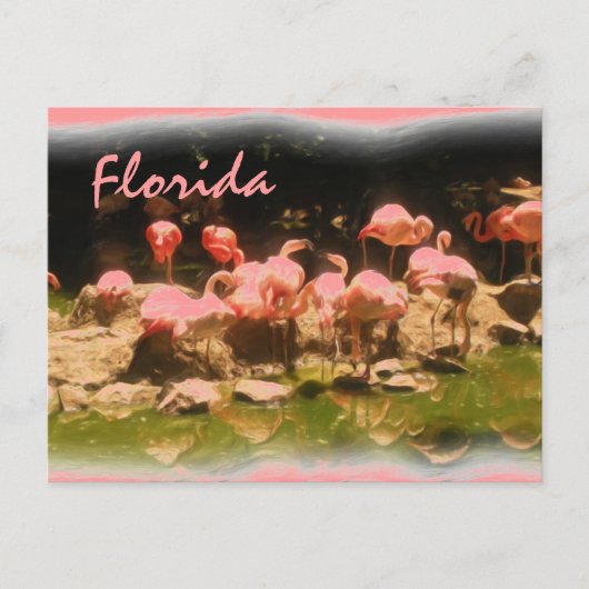 Roze flamingo Florida briefkaart (Voorkant)