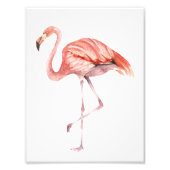 Roze Flamingo Foto Afdruk (Voorkant)