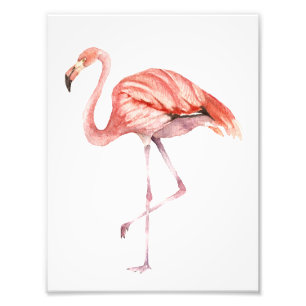 Roze Flamingo Foto Afdruk