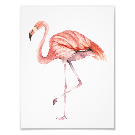 Roze Flamingo Foto Afdruk (Voorkant)